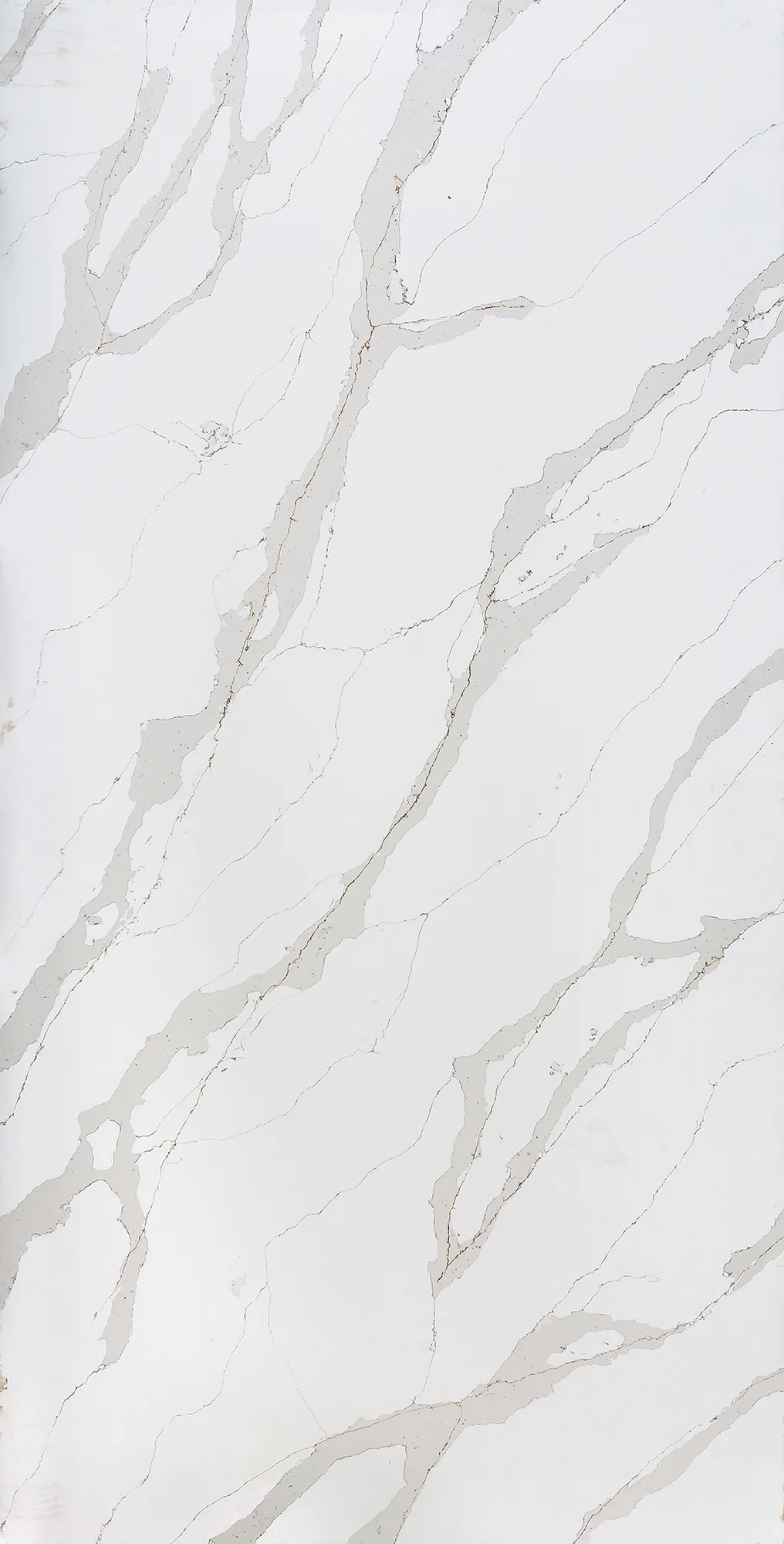 Calacatta Gold